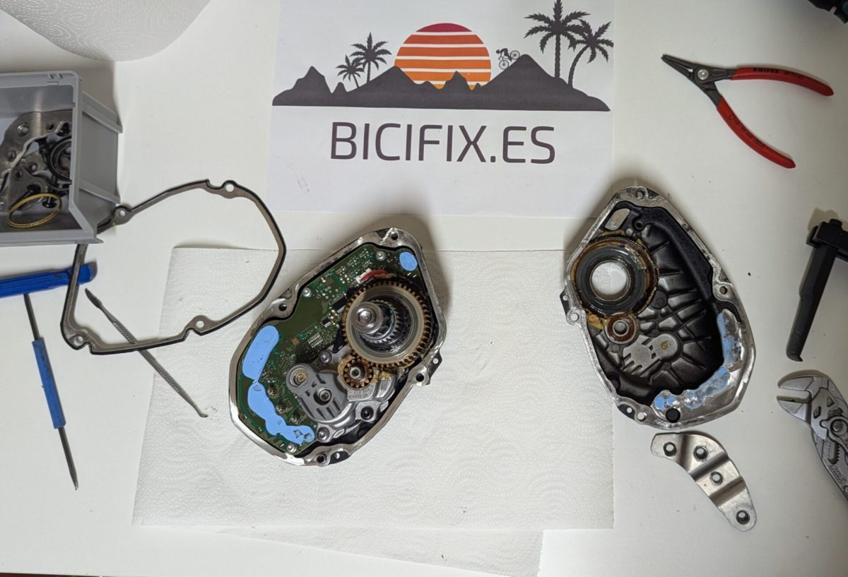 Bosch Gen 4 Mantenimiento y Reparación - Imagen 3