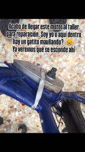 627064348 2306873336390666 2092040251914527474 n