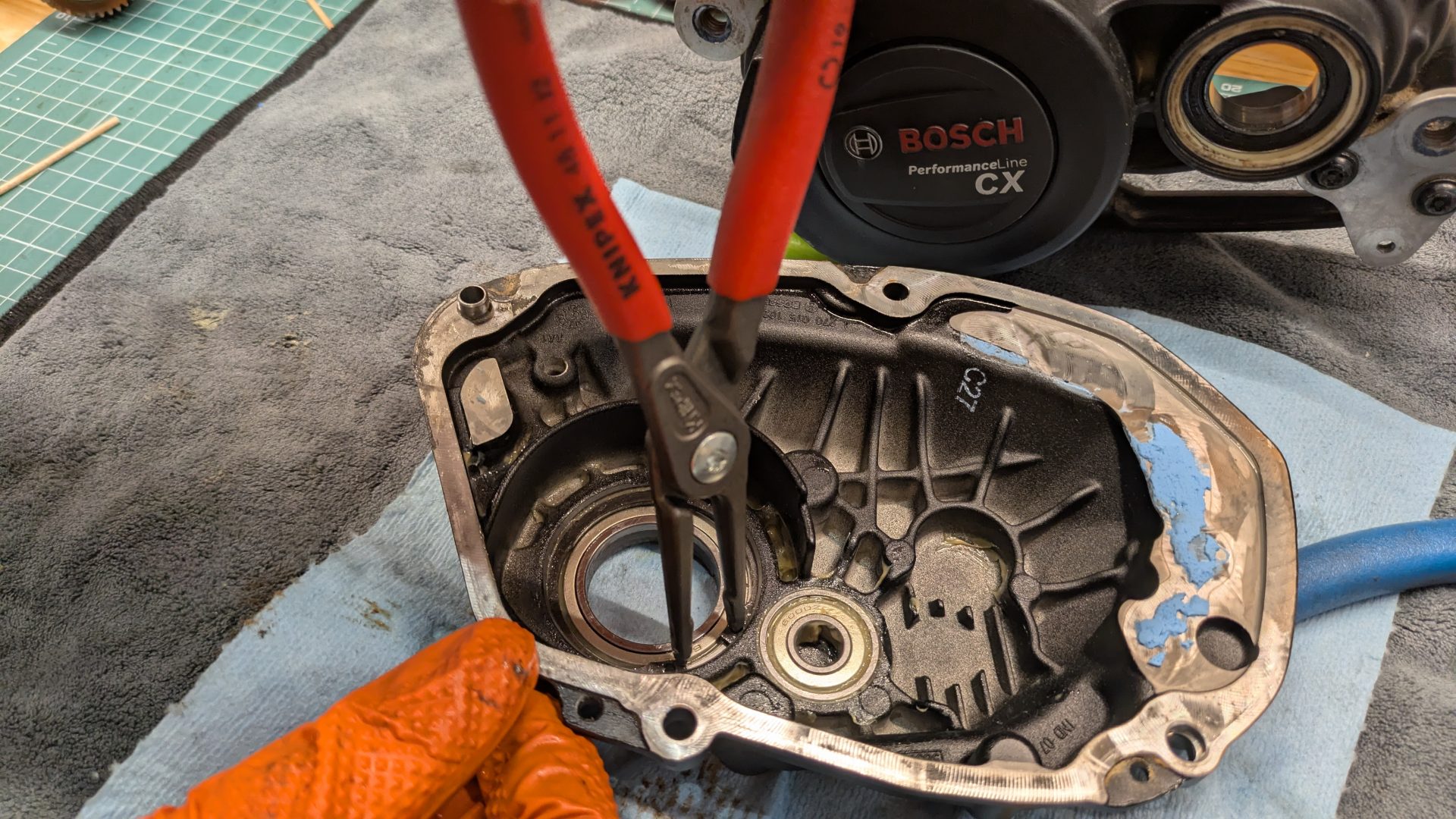 PXL 20251012 145830044